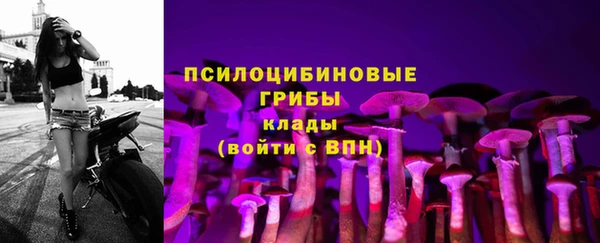 мяу мяу мука Белоозёрский