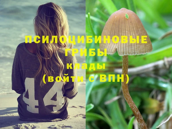скорость Мегион