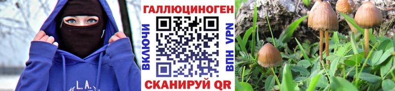 Галлюциногенные грибы мицелий  дарнет шоп  Фатеж 